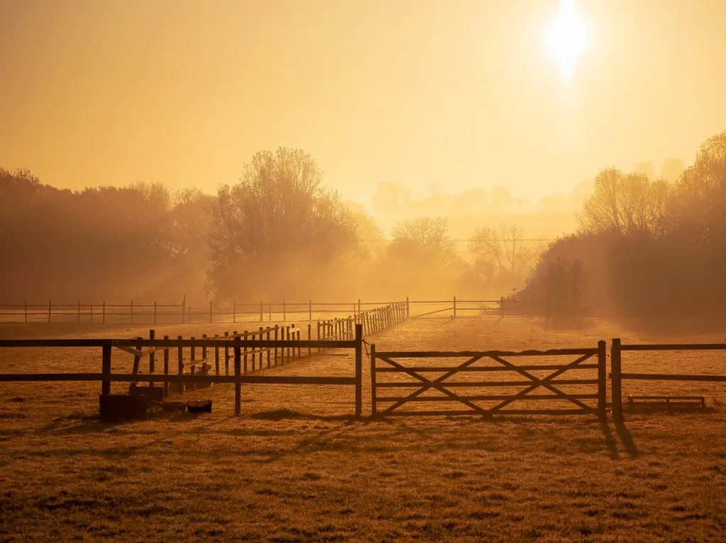 Camp site in Norwich at dawn