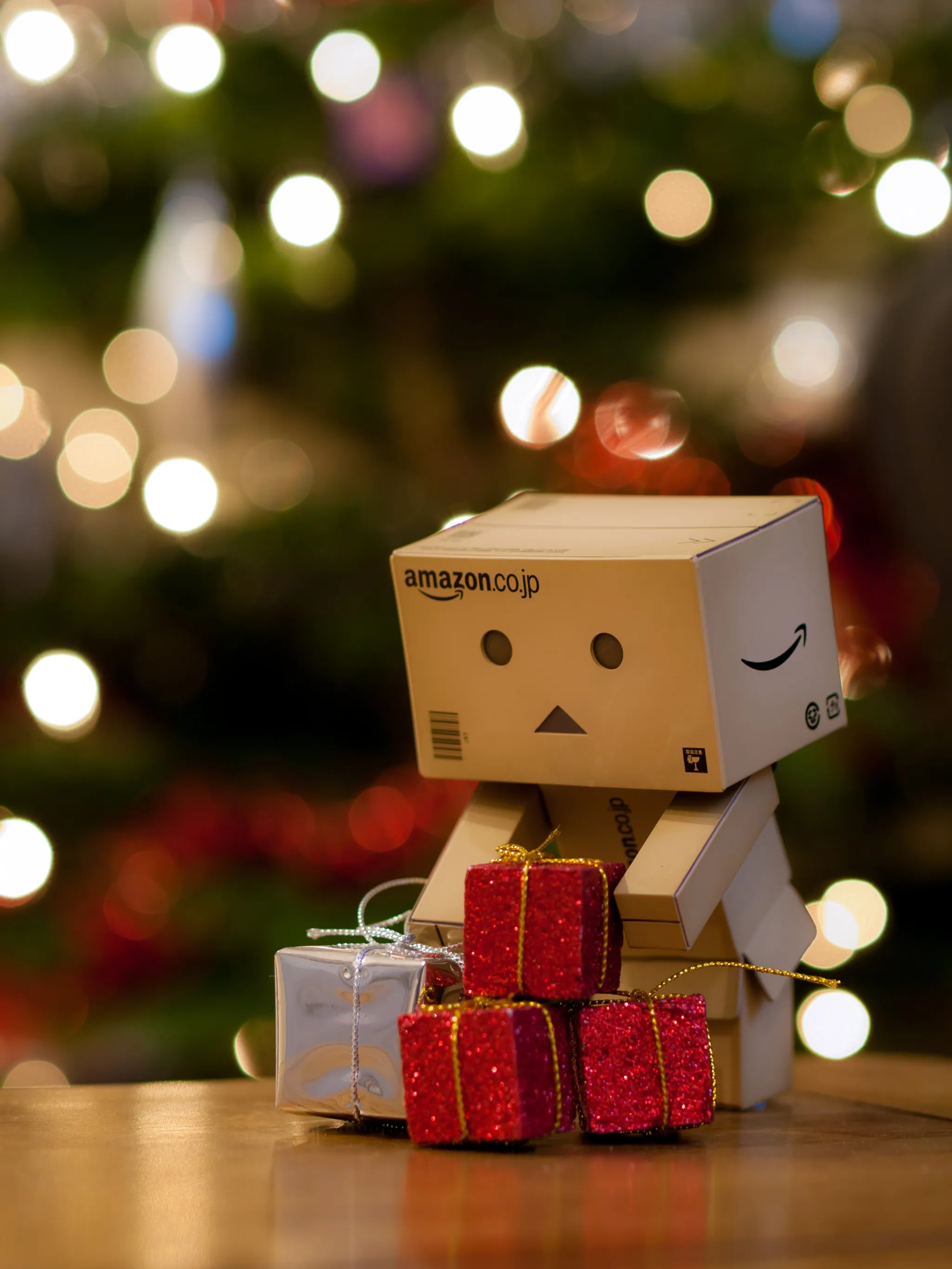 Danbo with christmas presents